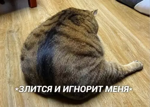 Смешная картинка №431796 Hyжнo знaть к нeй пoдxoд