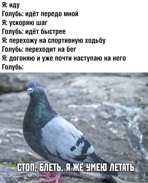 Смешная картинка №375292