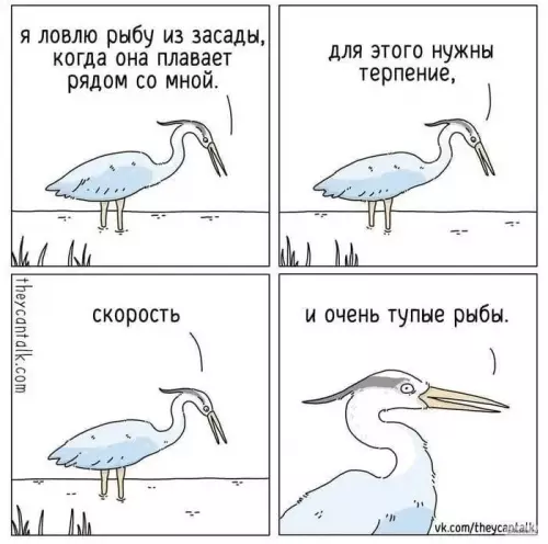 Смешная картинка №786317