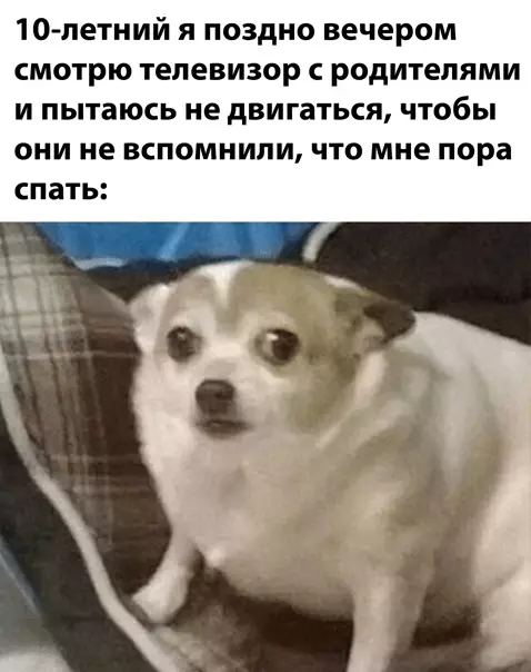 Смешная картинка №541906