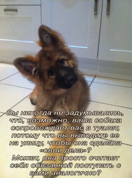 Смешная картинка №378423 Всё взаимно