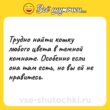 Шутка: Трудно найти кошку любого цвета в темной комнате. Особенно если она там есть, но вы ей не нравитесь.