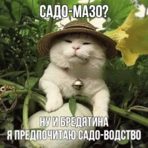 Смешная картинка №774916