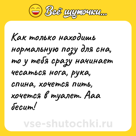Шутка: Как только находишь нормальную позу для сна, то у тебя сразу начинает чесаться нога, рука, спина, хочется пить, хочется в туалет. Ааа бесит!