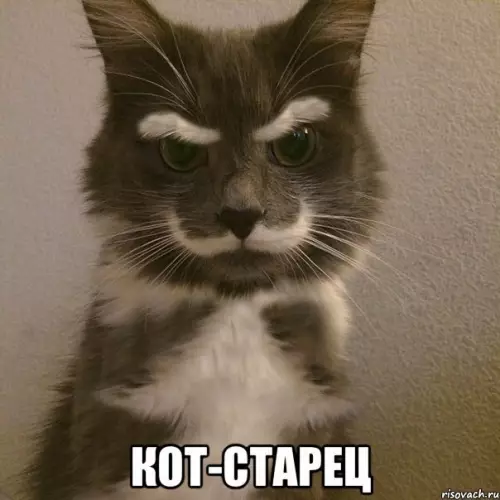 Смешная картинка №282858