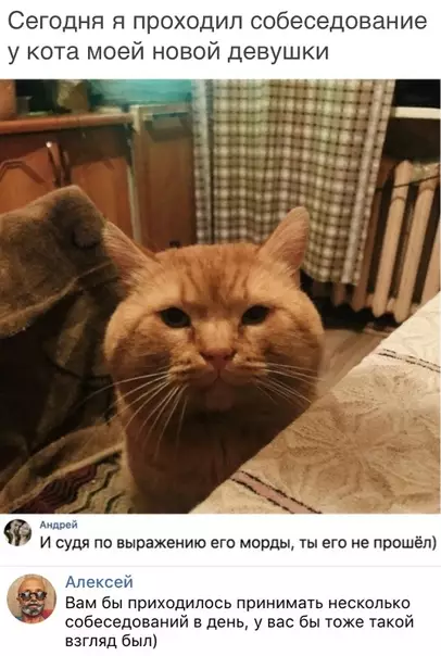 Смешная картинка №303737