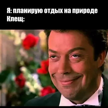 Когда планы на лето резко пошли не по сценарию 🦟 - Я: планирую отдых на природе Клещ: