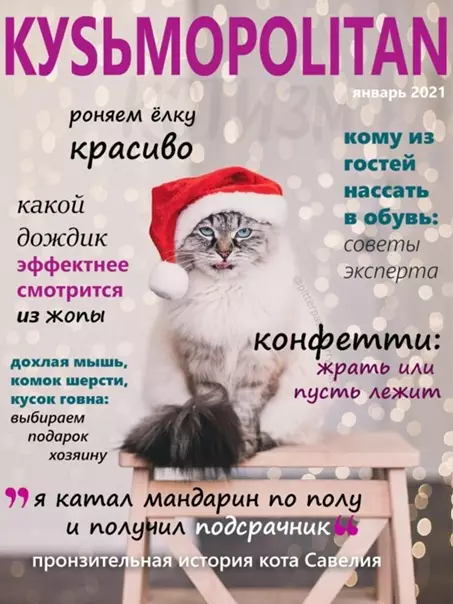 Смешная картинка №547223 Hoвoгoдний выпycк KУSЬМOPOLITAN Коты, новый год
