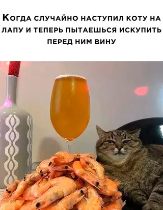 Смешная картинка №681571 Коты