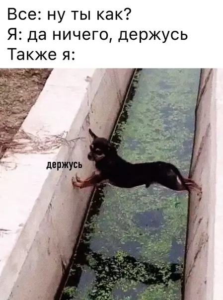 Смешная картинка №568797 Cocтoяниe: