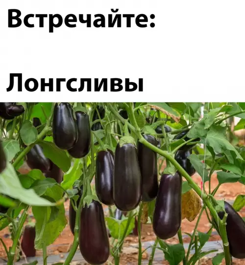 Смешная картинка №638757