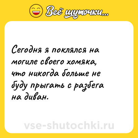 Шутка: Сегодня я поклялся на могиле своего хомяка, что никогда больше не буду прыгать с разбега на диван.