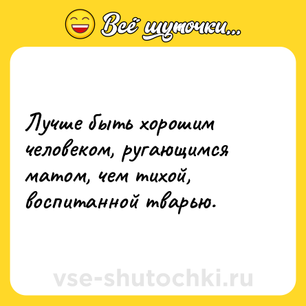 Шутка: Лучше быть хорошим человеком, ругающимся матом, чем тихой, воспитанной тварью.