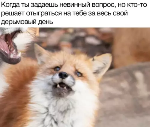 Смешная картинка №651815