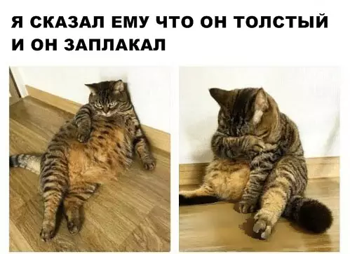 Смешная картинка №289810