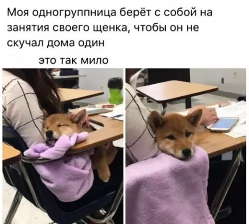 Смешная картинка №267473