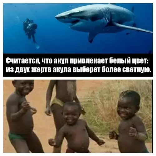 Смешная картинка №175895 акула