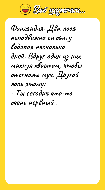 Финляндия. Два лося неподвижно стоят у водопоя несколько дней. Вдруг