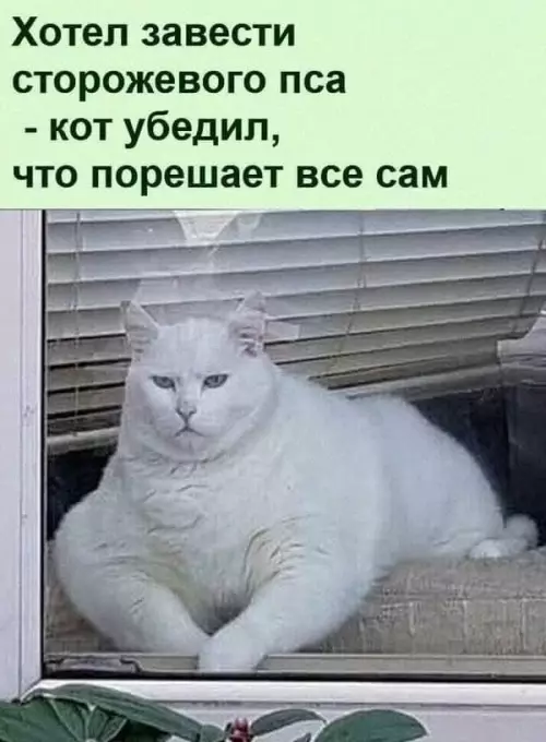 Смешная картинка №774437