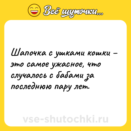 Шутка: Шапочка с ушками кошки – это самое ужасное, что случалось с бабами за последнюю пару лет.