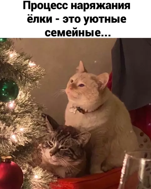 Смешная картинка №543137 новый год