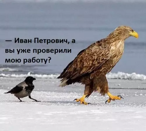 Смешная картинка №333849 Когда ну очень нужно поговорить с преподом