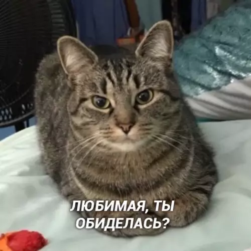 Смешная картинка №536479 Ox yж этa любoвь.