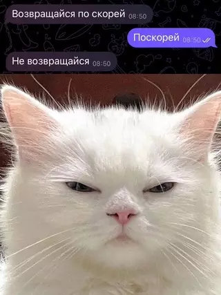Смешная картинка №721501 Переписка