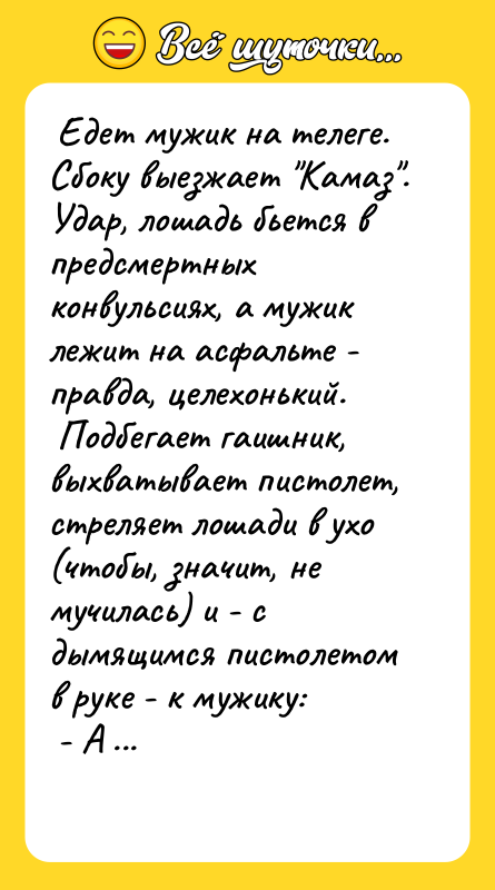Едет мужик на телеге. Сбоку выезжает Камаз . Удар, лошадь