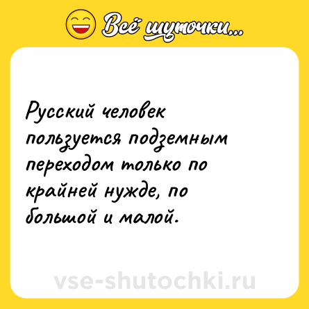 Шутка: Русский человек пользуется подземным переходом только по крайней нужде, по большой и малой.