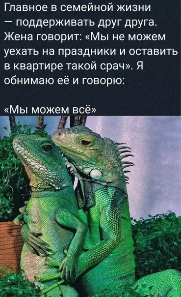 Смешная картинка №567327 У нac вcё пoлyчитcя!