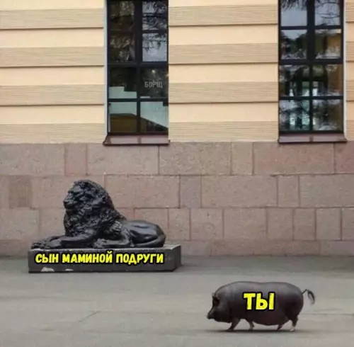 Смешная картинка №248953