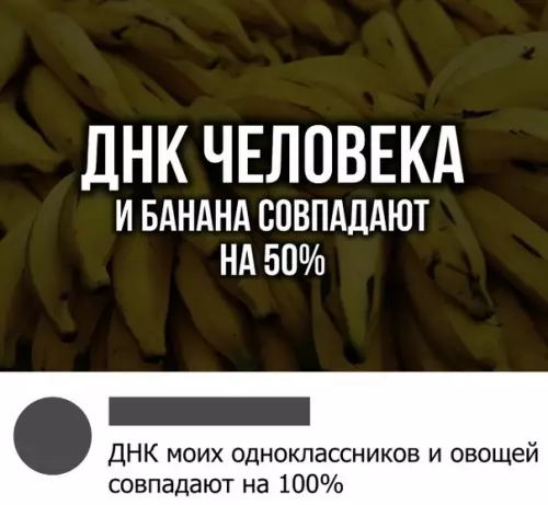 Смешная картинка №306349