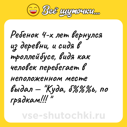 Шутка: Ребенок 4-х лет вернулся из деревни, и сидя в троллейбусе, видя как человек перебегает в неположенном месте выдал — 
