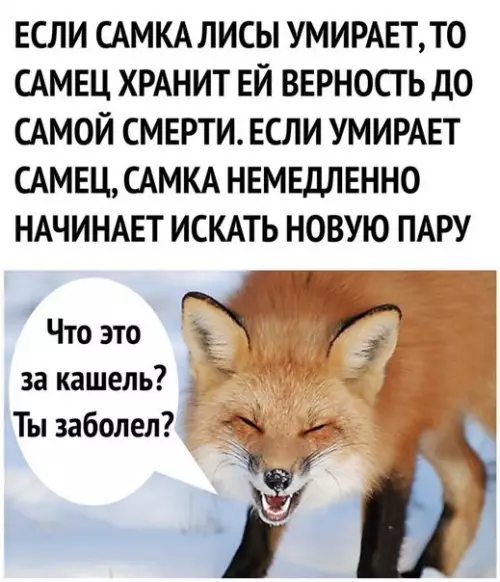 Смешная картинка №278380