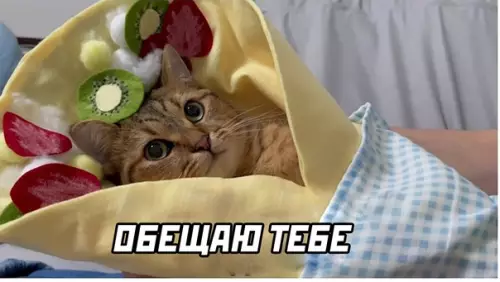 продолжение Смешная картинка №579792