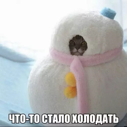 Смешная картинка №226701