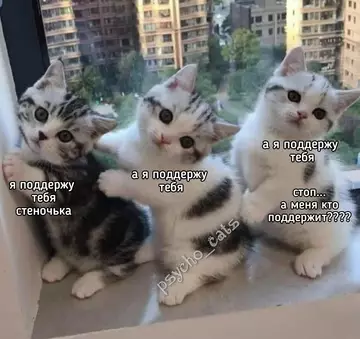 Смешная картинка №735777 Ну вот...