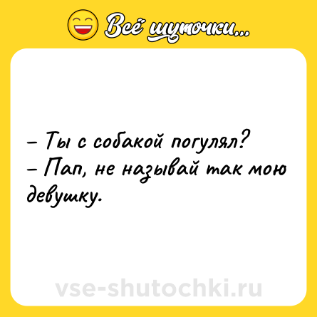 Шутка: – Ты с собакой погулял?<br>– Пап, не называй так мою девушку.