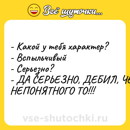 Шутка: - Какой у тебя характер? <br>- Вспыльчивый <br>- Серьезно? <br>- ДА СЕРЬЕЗНО, ДЕБИЛ, ЧЕ НЕПОНЯТНОГО ТО!!!