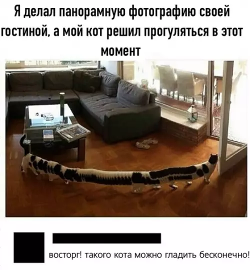 Смешная картинка №495462 Это к∞т
