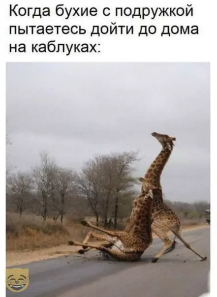 Смешная картинка №377882 #приколы #картинки #мемы ?