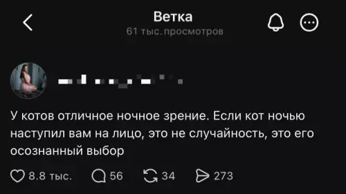 Кот — твой ночной кошмар 😼 - У котов отличное ночное зрение. Если кот ночью наступил вам