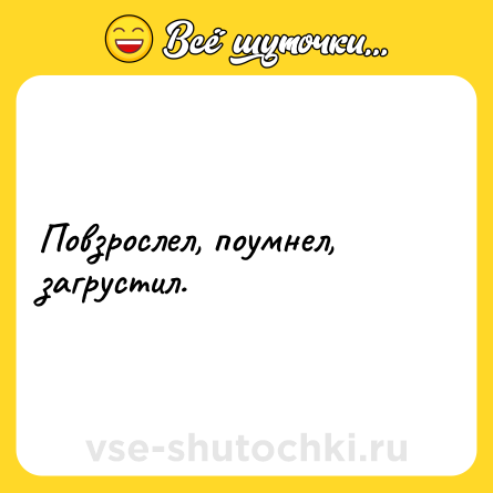 Шутка: Повзрослел, поумнел, загрустил.