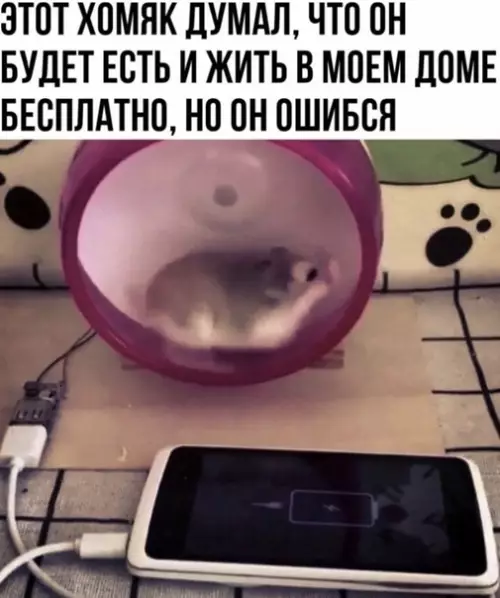 Смешная картинка №542371