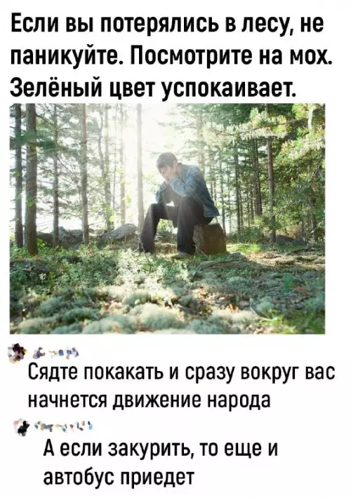 Смешная картинка №728428 Без паники, выход есть советы