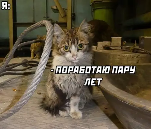 Смешная картинка №644275