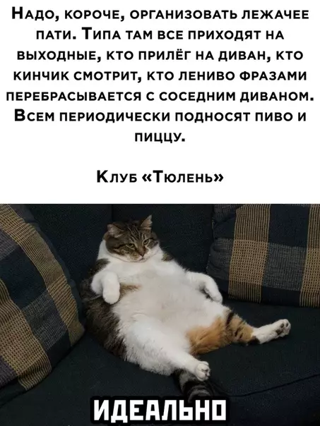 Смешная картинка №514736