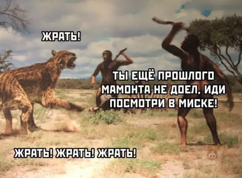 Смешная картинка №546450 Котики и в древности были котиками ?