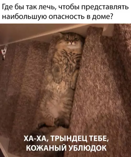 Смешная картинка №479786